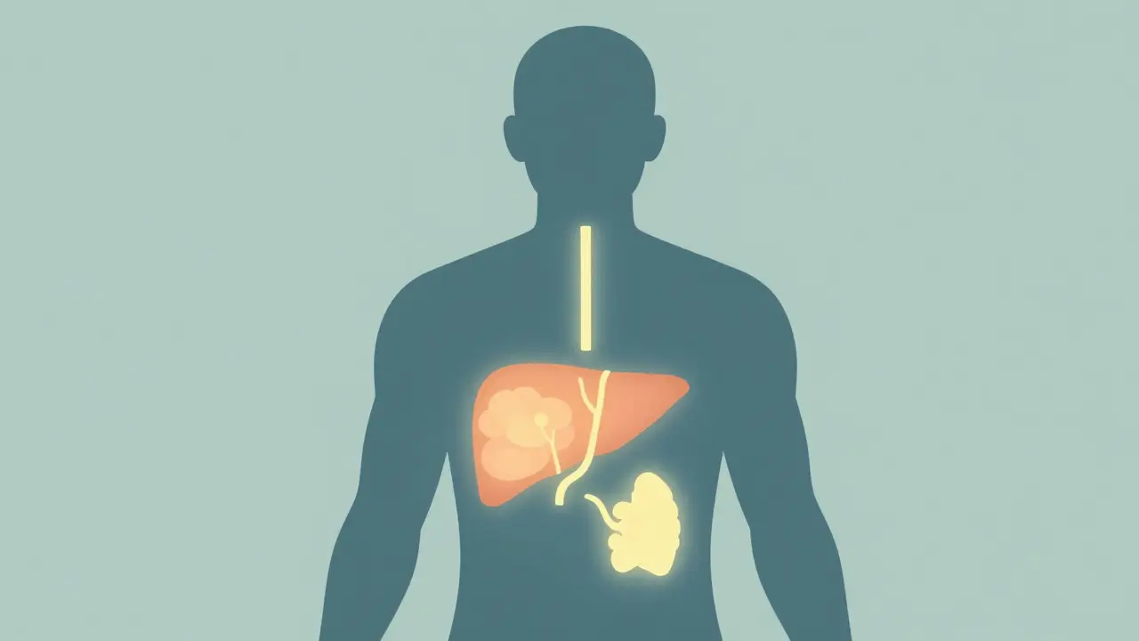 Схематичное изображение связи здоровья печени и щитовидной железы с цветом кожи